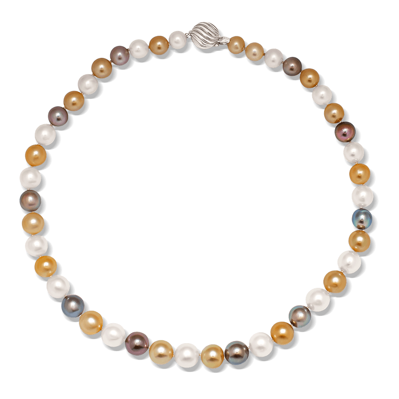 Multi Coloured South Sea Pearl Strand