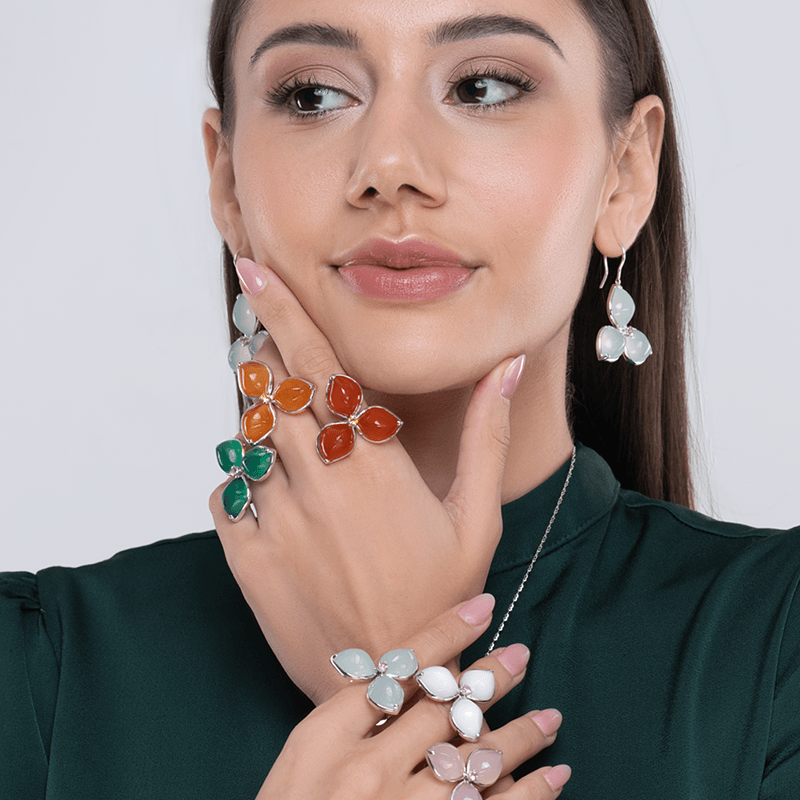 Bougainvillea Collection